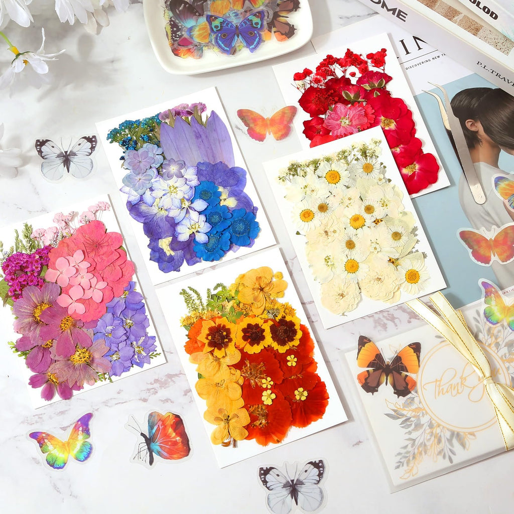 Assortment of pressed flowers and butterfly stickers arranged on white cards, with tweezers and decorative elements.