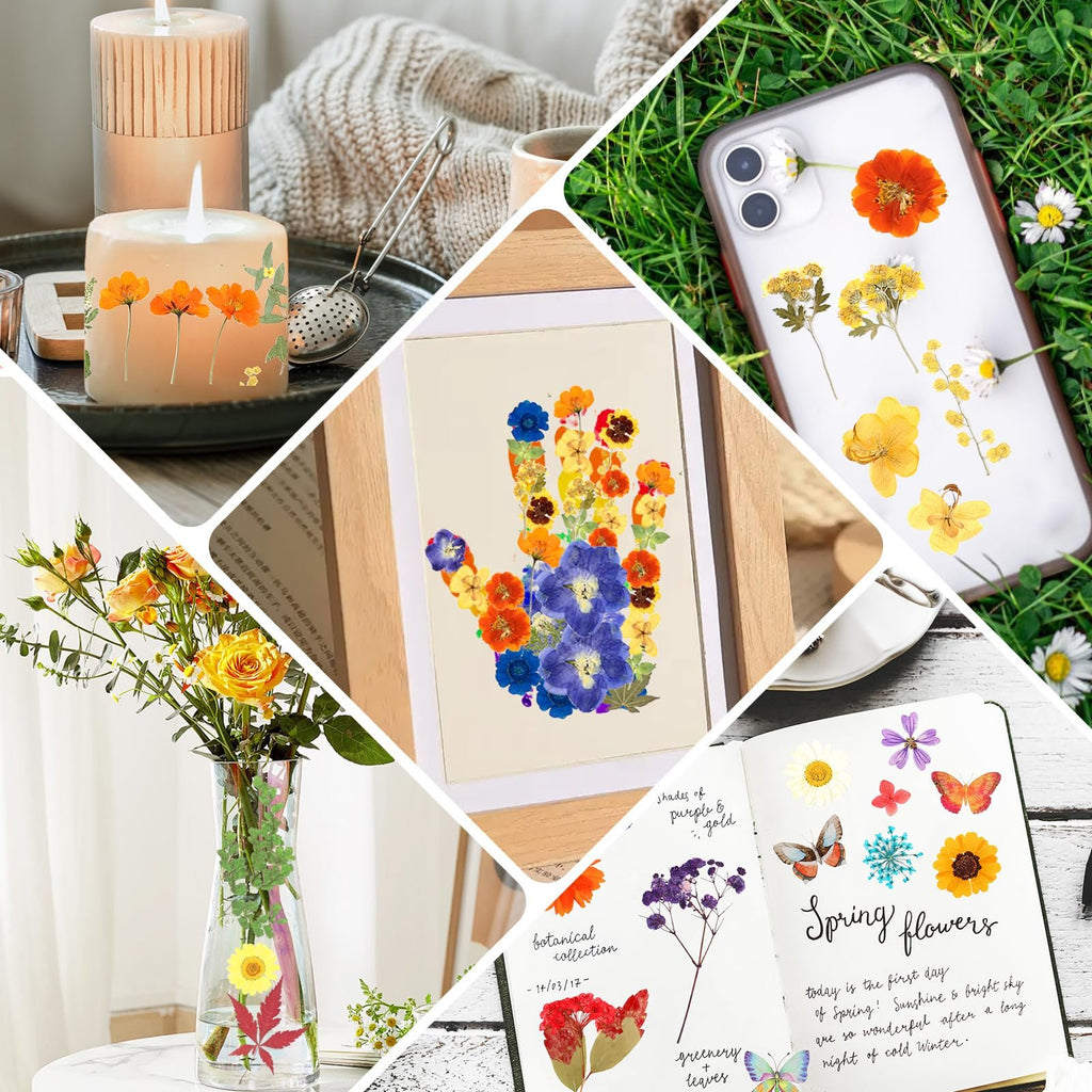 Collage of dried pressed flowers used in crafts: on candles, a phone case, in a frame, in a vase, and in a journal.