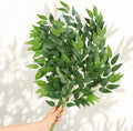 Hand holding artificial Italian Ruscus greenery stems with green leaves against a white background with light shadows.