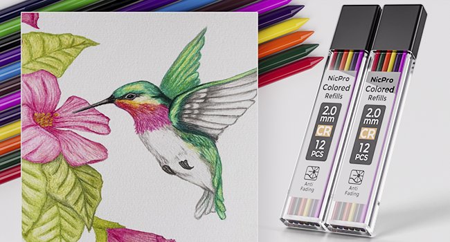 Hummingbird drawing next to two packages of colored pencil refills