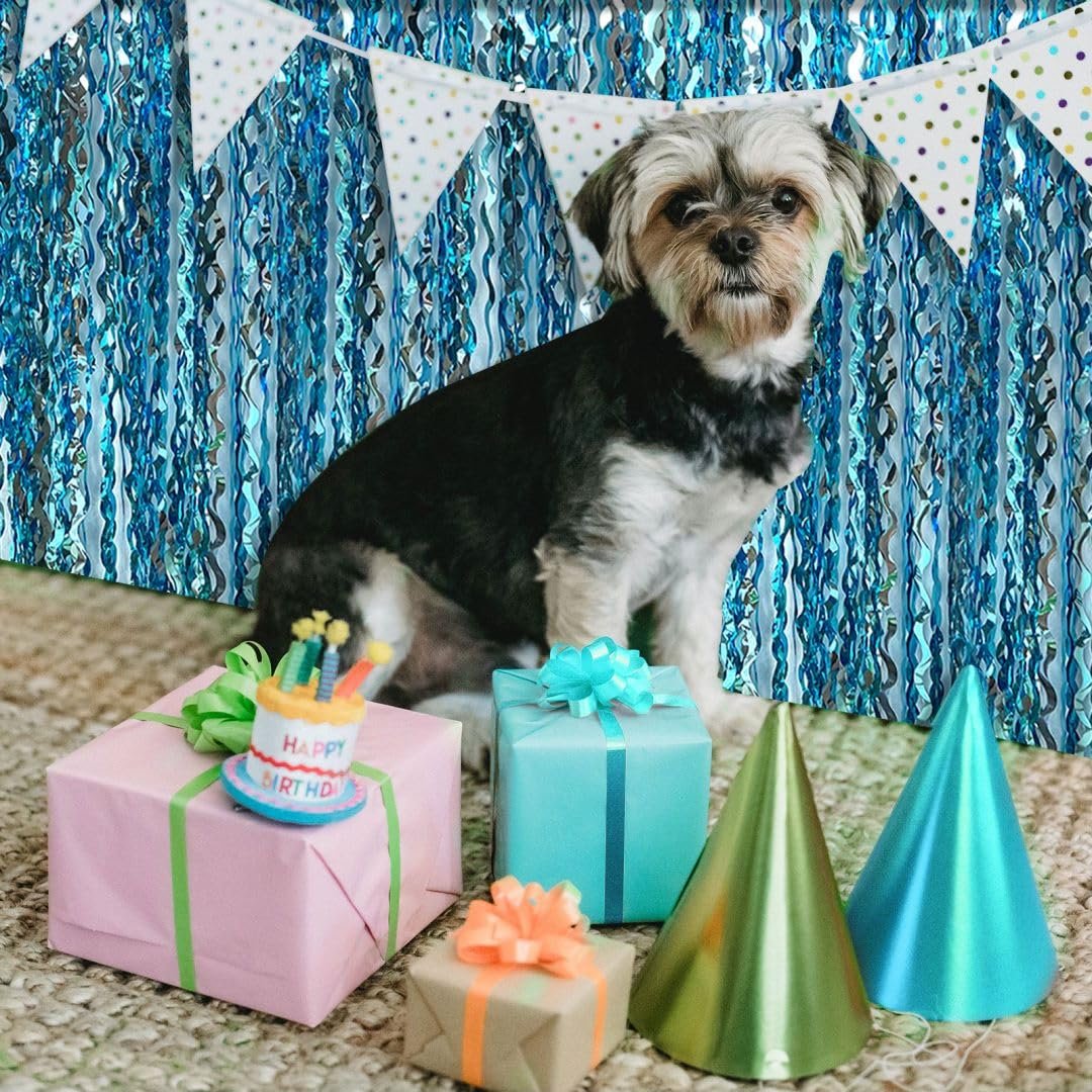 Dog sitting with birthday gifts and party hats in front of a blue fringe curtain backdrop