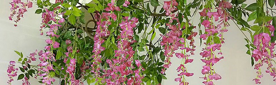 Fuchsia artificial wisteria garlands with green leaves hanging against a white background