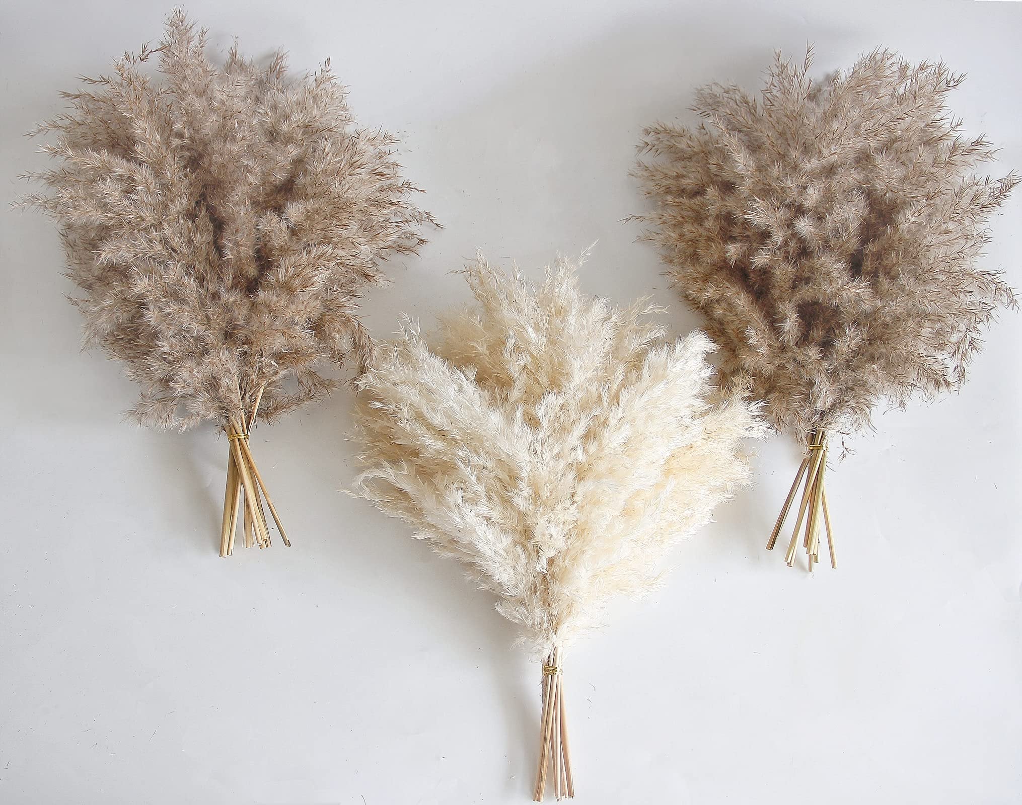Three bundles of dried pampas grass, one white and two brown, arranged on a white background.