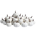 Pile of 30 assorted size white mini pumpkins with brown stems on a white background