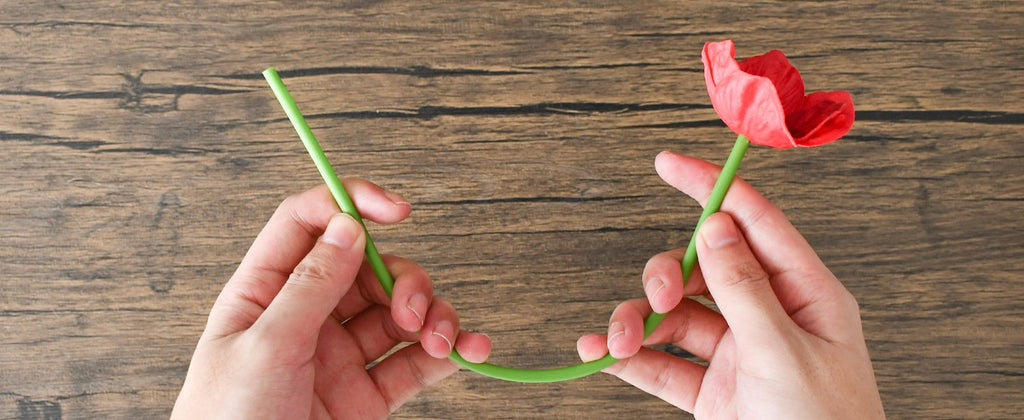 Hands holding a single red artificial poppy flower stem against a wooden background