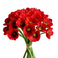 Bouquet of 30 red artificial poppy flowers tied with twine on white background