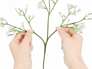 Hands holding a stem of artificial baby's breath flowers against a white background.