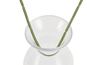 Close-up of two green artificial flower stems being placed into a clear glass vase against a white background.