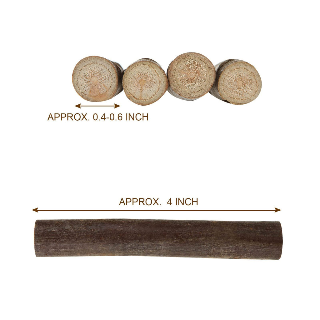Four natural birch wood log sticks shown end-on with diameter measurement, and one log stick shown lengthwise with length measurement.