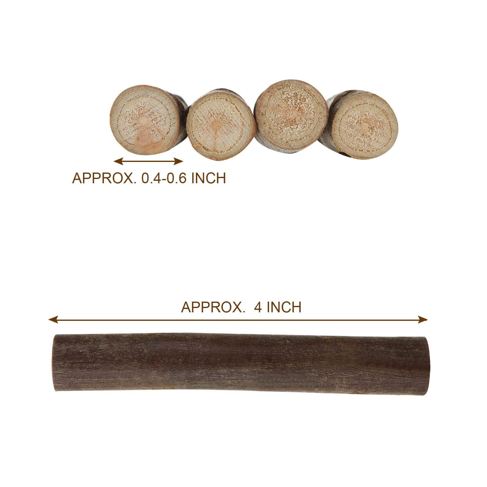 Four natural birch wood log sticks shown end-on with diameter measurement, and one log stick shown lengthwise with length measurement.