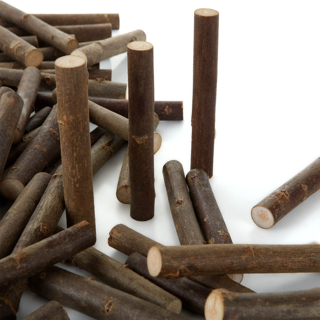 Pile of natural birch wood log sticks for crafts, close-up view showing texture and cut ends.