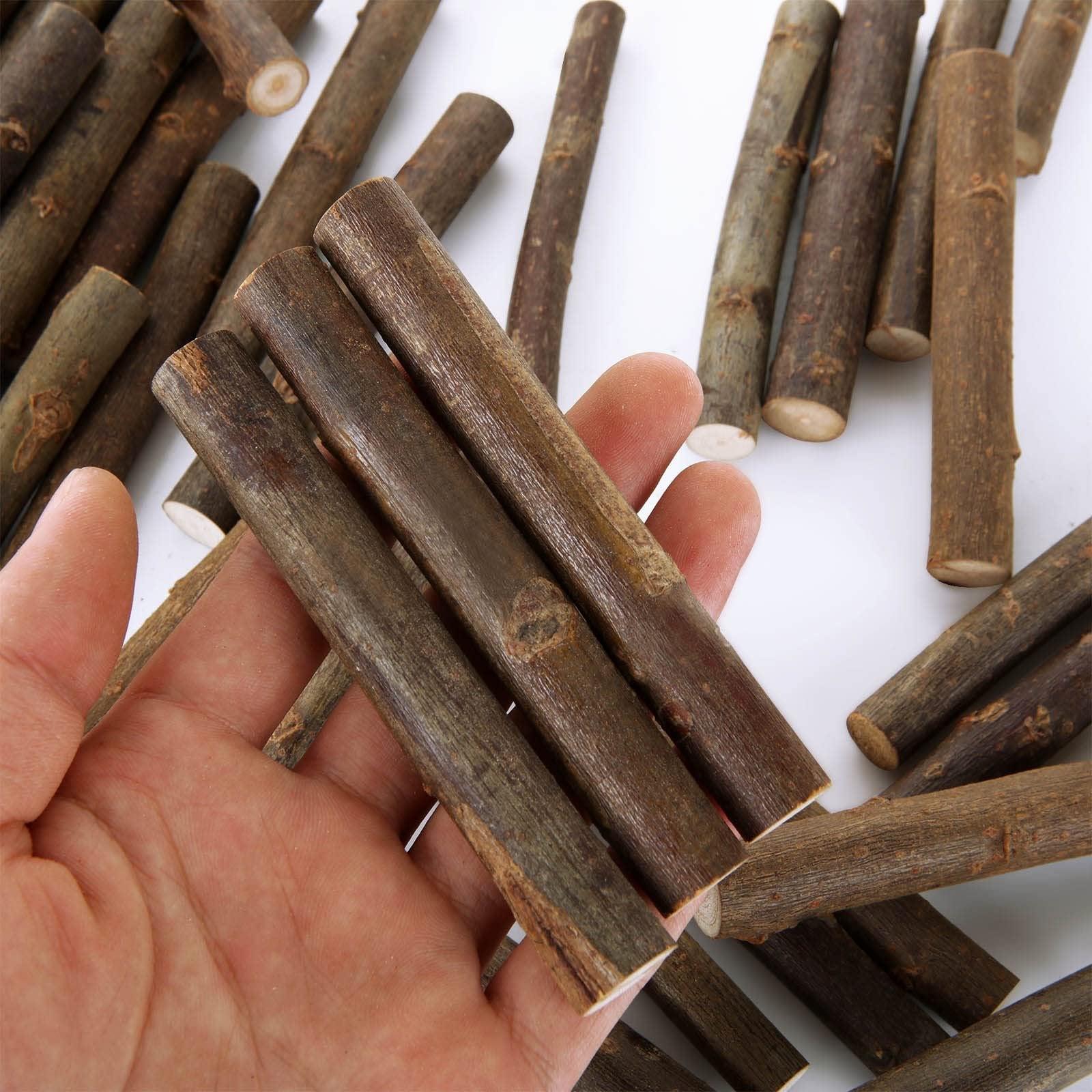 Hand holding natural birch wood log sticks for crafts, showing texture and natural variations.