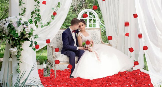 Bride and groom sitting on a couch surrounded by red silk rose petals, with white drapes and floral arrangements.