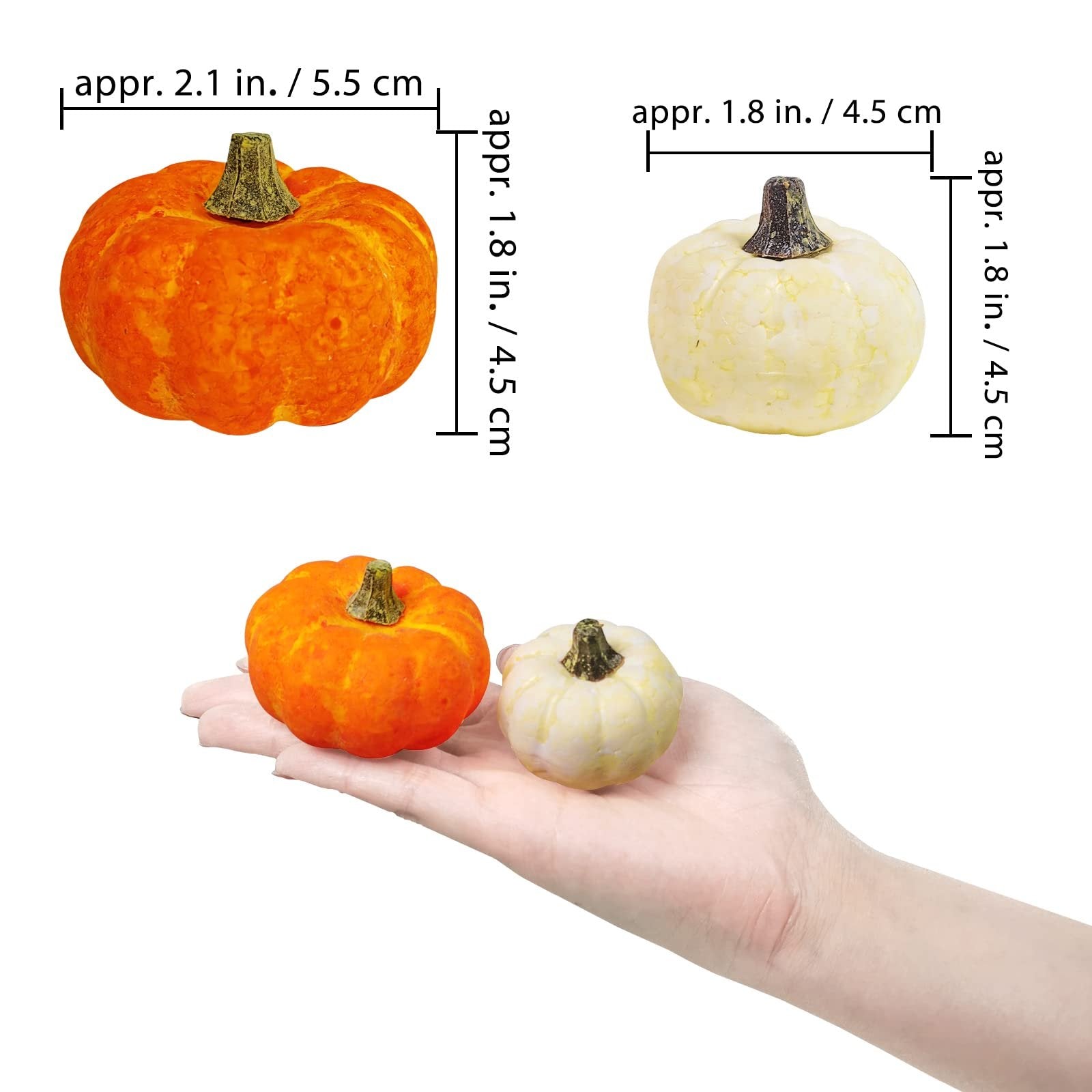 Hand holding assorted orange and cream mini pumpkins, showing size dimensions
