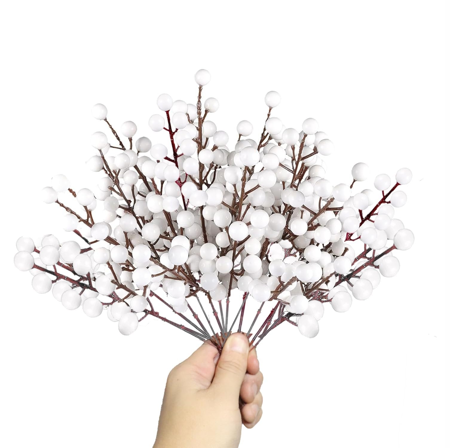 Hand holding a bunch of white berry stems with brown branches against a white background