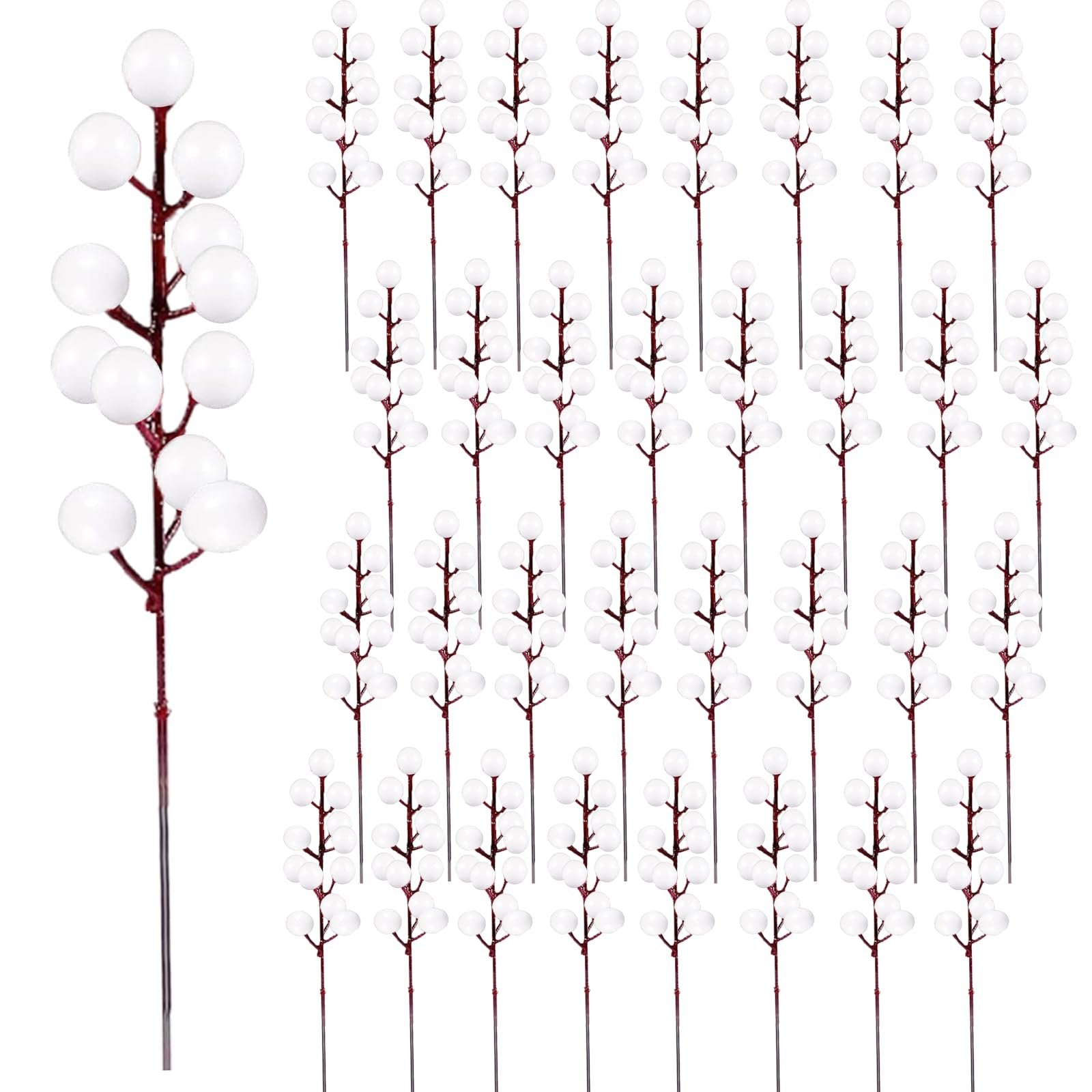 32 white berry stems with red branches, shown from the front with one stem on the left and 31 stems arranged in columns on the right.