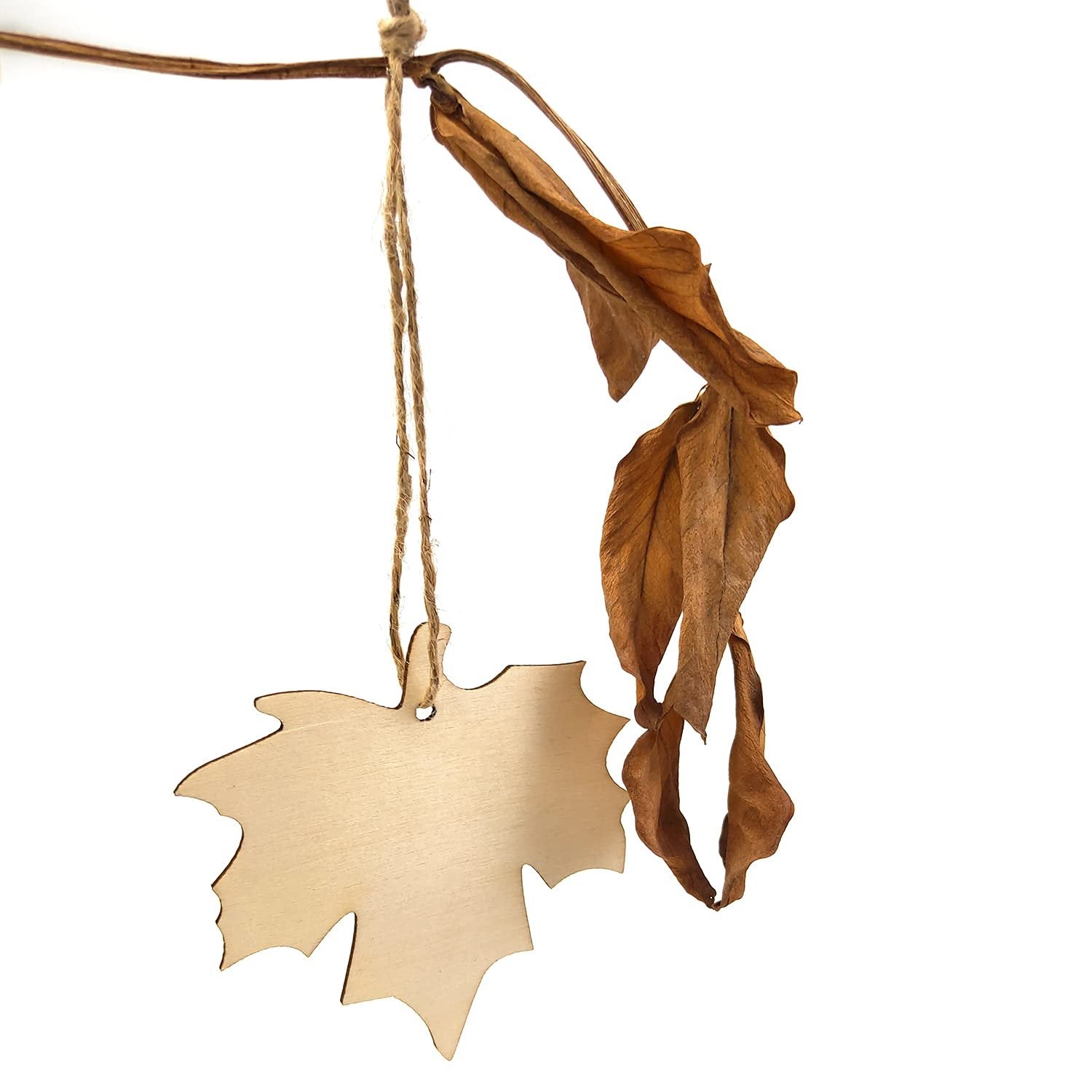 Unfinished wooden maple leaf cutout hanging by twine next to dried leaves on a branch