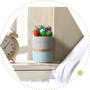 Mini artificial succulents in a decorative pot on a windowsill next to an alarm clock.
