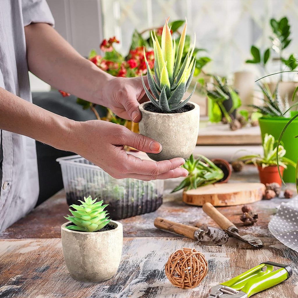 Hands holding a small potted artificial succulent plant with yellow-tipped green leaves, surrounded by gardening tools and other plants.