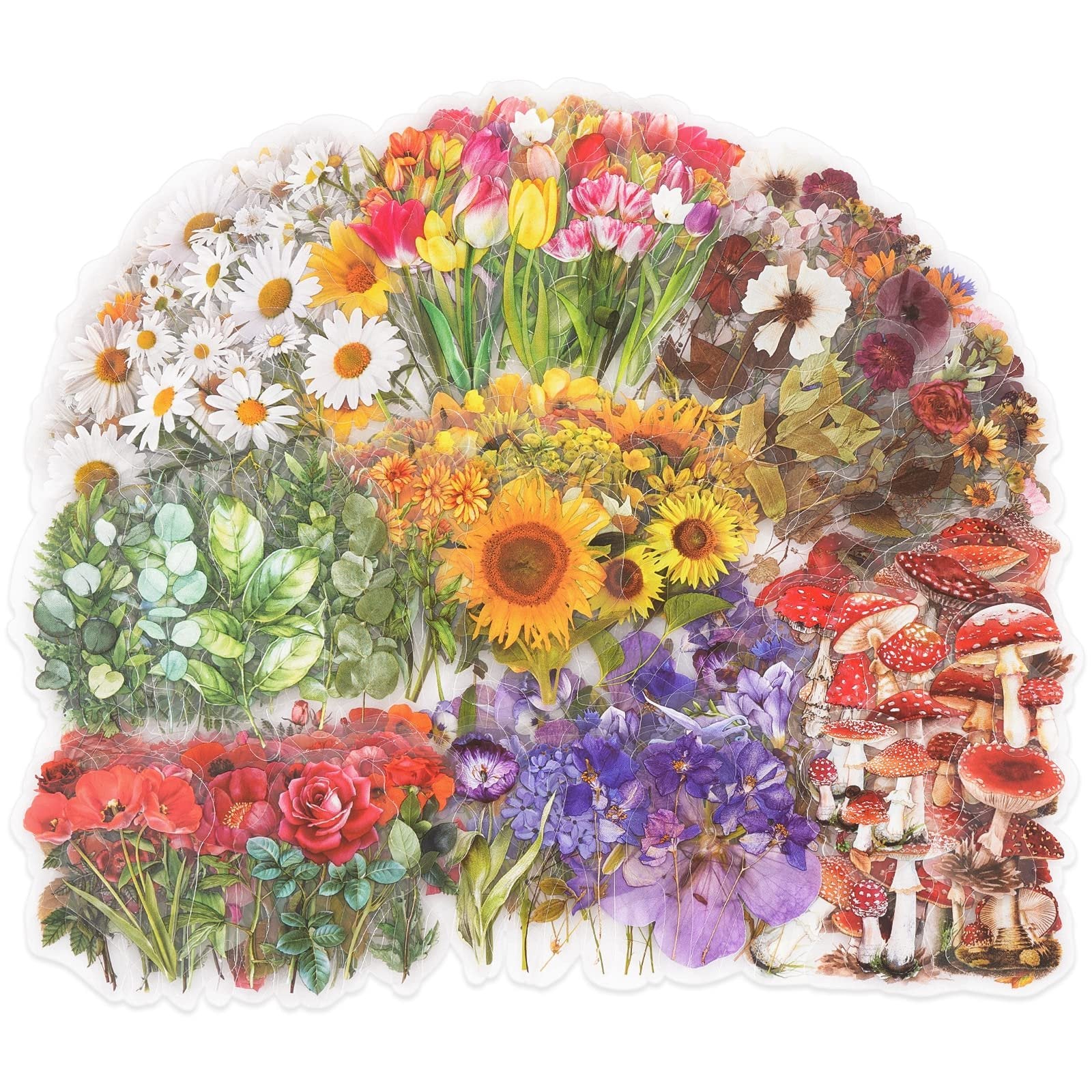 Assortment of botanical stickers featuring flowers, leaves, and mushrooms on a white background.