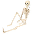 Poseable full body skeleton prop with movable joints, shown sitting on a white background.