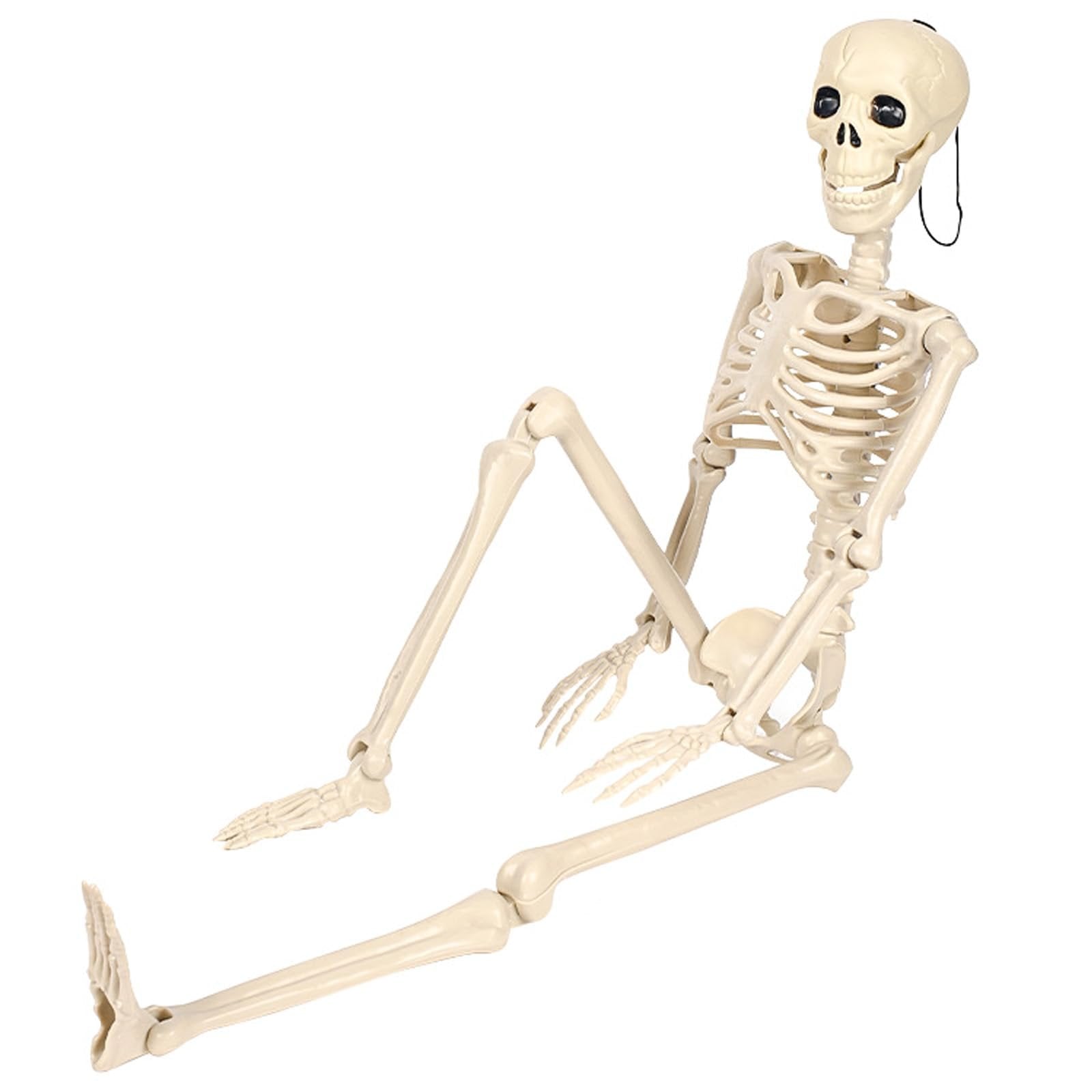 Poseable full body skeleton prop with movable joints, shown sitting on a white background.