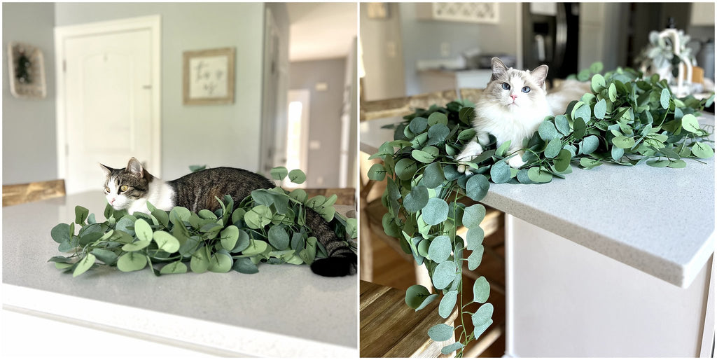 Two cats nestled in artificial eucalyptus garland on a countertop, one tabby and white, the other a Ragdoll.