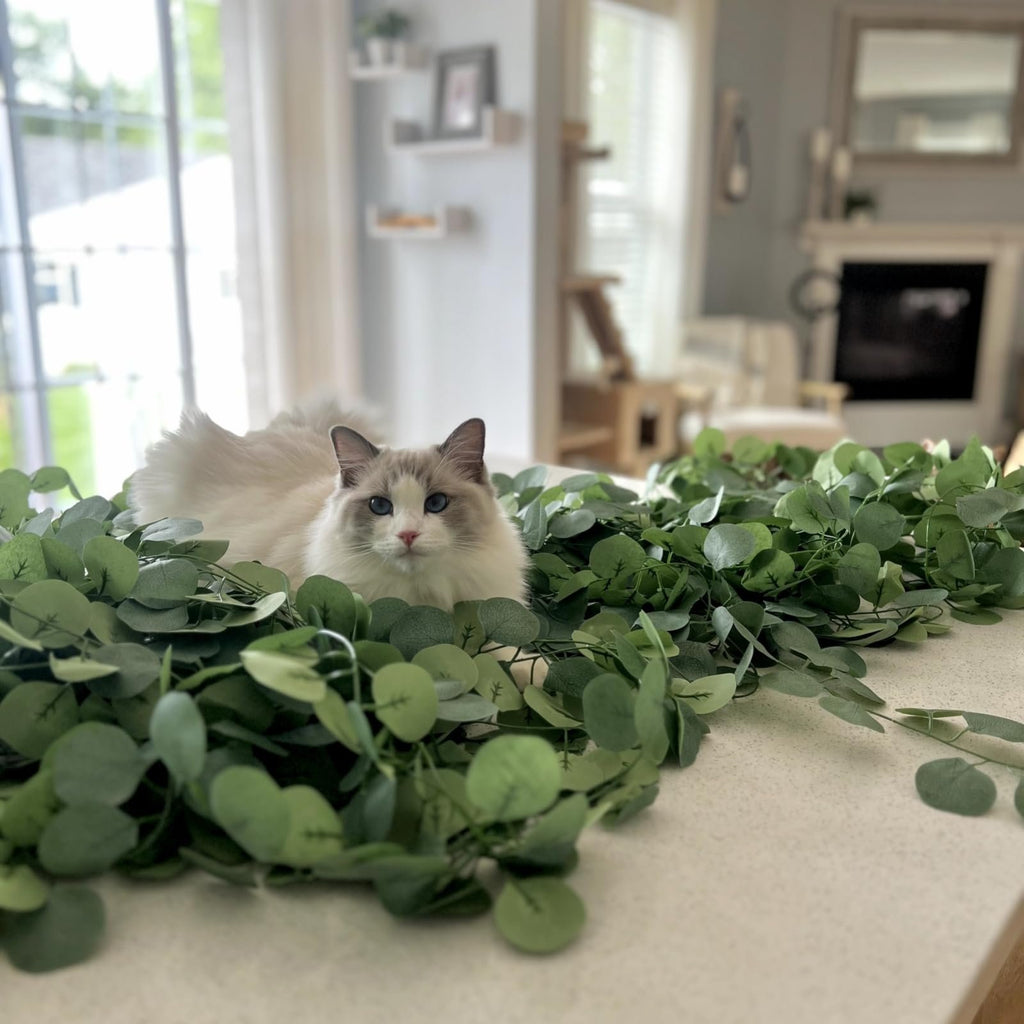 Ragdoll cat resting in artificial eucalyptus garland on a countertop
