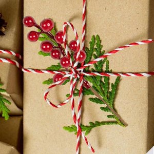 Close-up of a red berry stem and green sprig tied with red and white twine on a brown gift box.