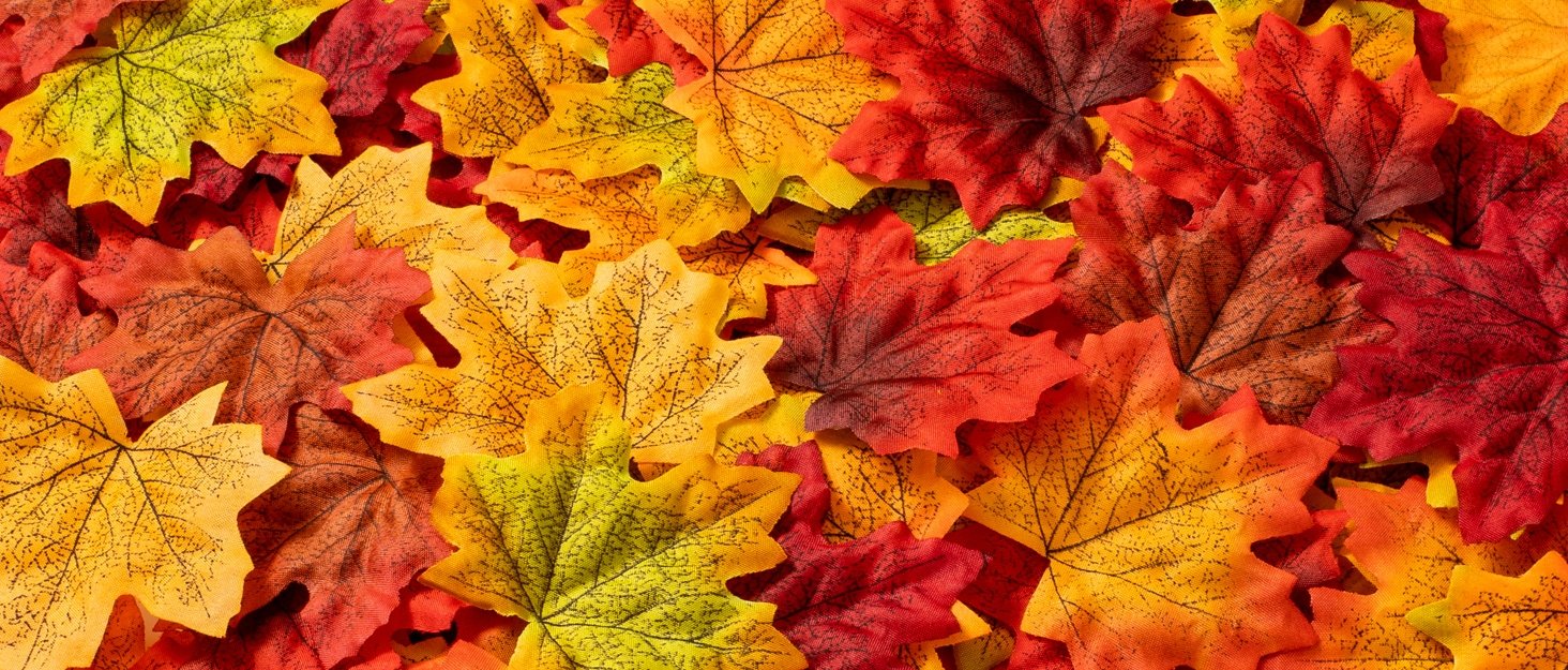 Pile of artificial maple leaves in red, orange, yellow, and green with black veining detail.