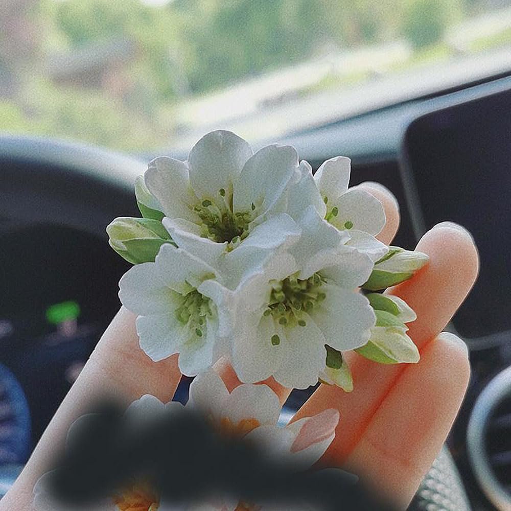 Hand holding white cherry blossom flowers with green buds, blurred car interior background