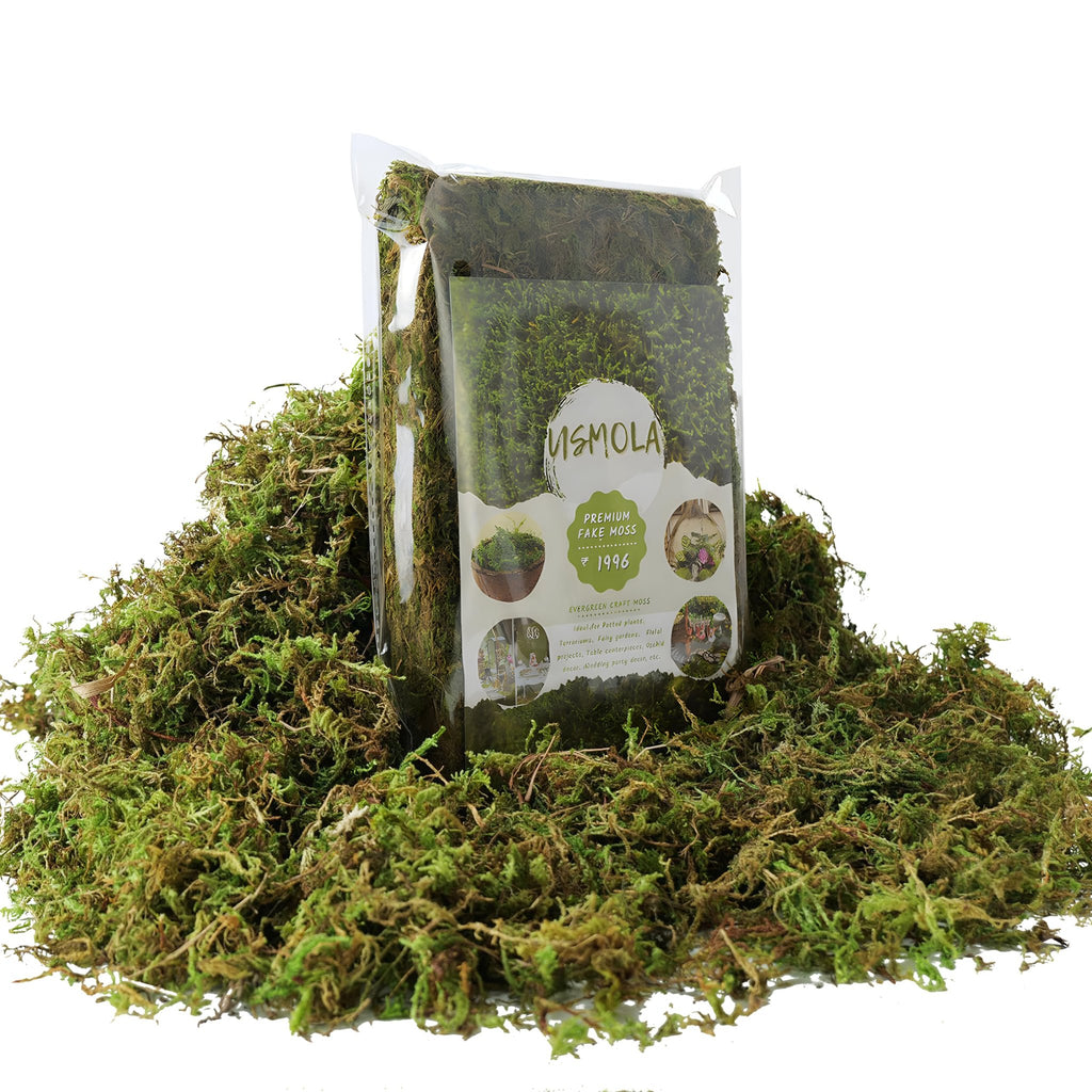 Bag of green artificial moss surrounded by loose moss, with product details and images on the bag.