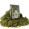 Bag of green artificial moss surrounded by loose moss, with product details and images on the bag.