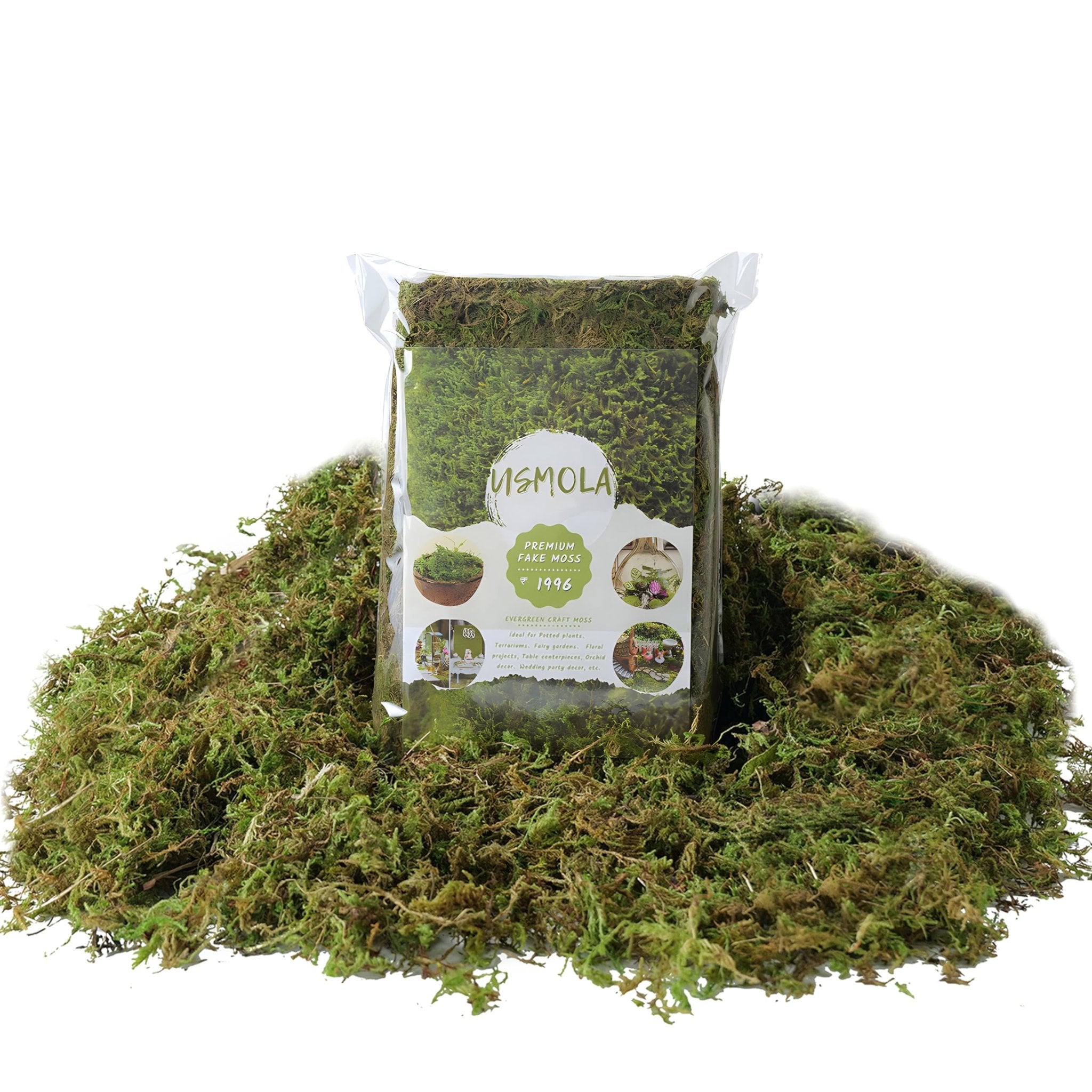 Bag of artificial green moss surrounded by loose moss, with product details and images on the bag.