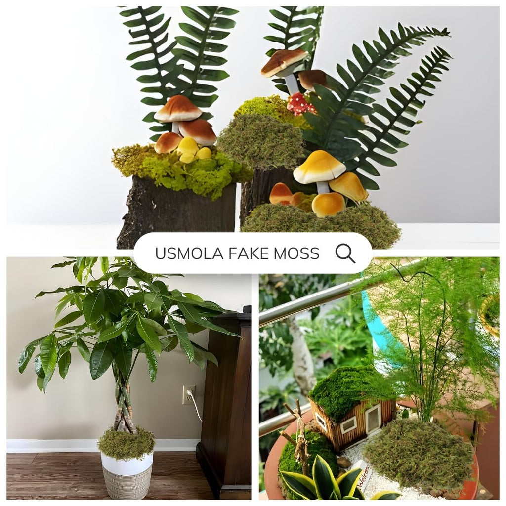 Collage of artificial moss crafts: woodland scene with mushrooms and ferns, braided money tree in pot, miniature fairy garden house.