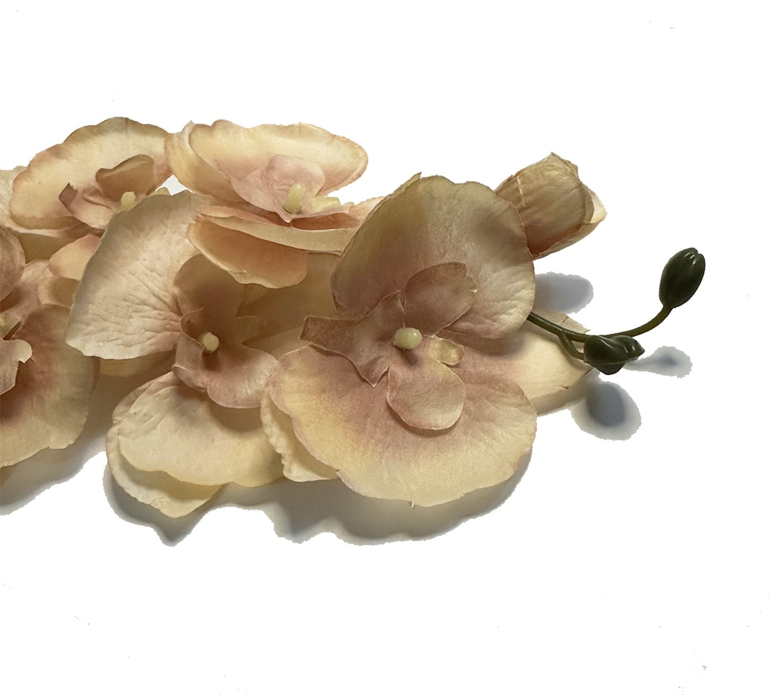 Close-up of artificial phalaenopsis orchid stems with multiple light brown and cream colored blooms and two dark green buds on a white background.