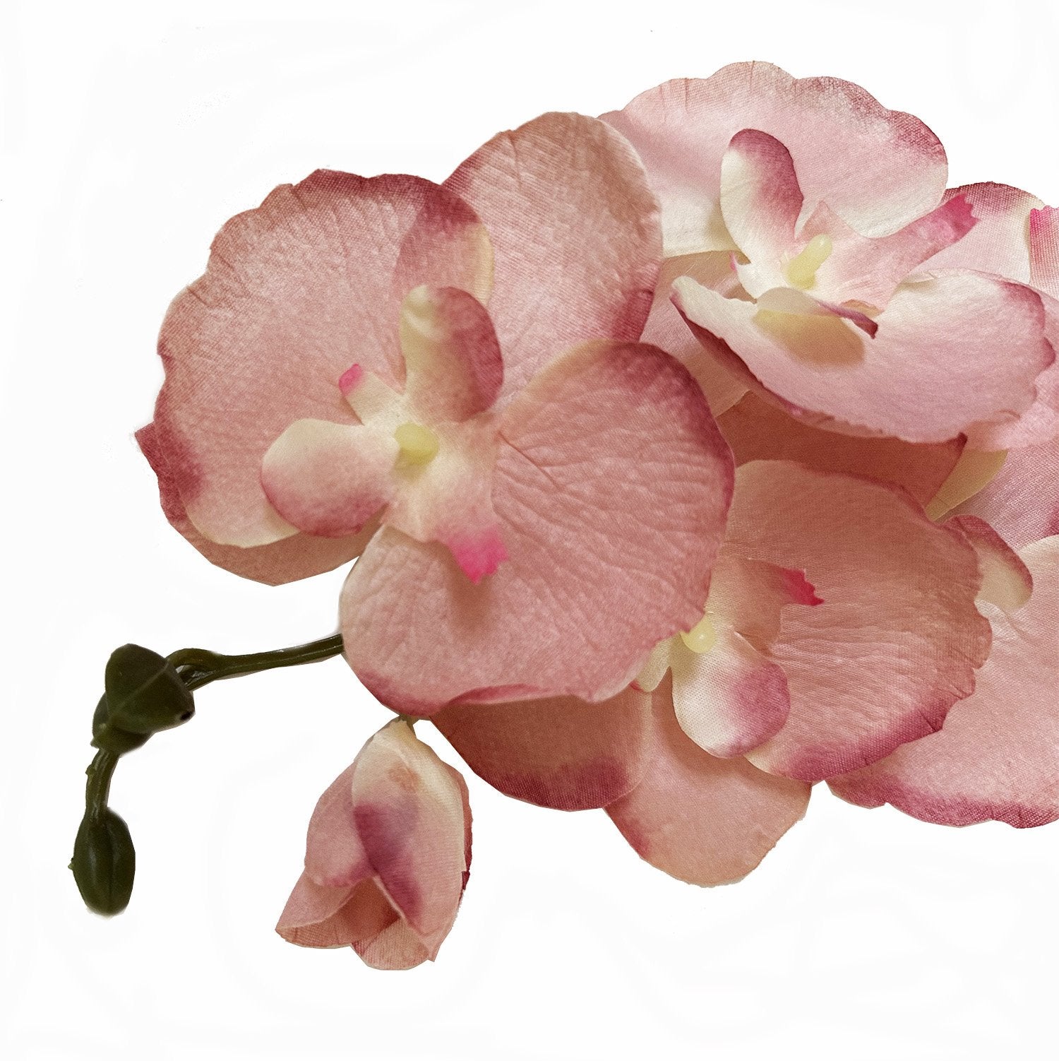 Close-up of pink artificial phalaenopsis orchid stems with buds on a white background.