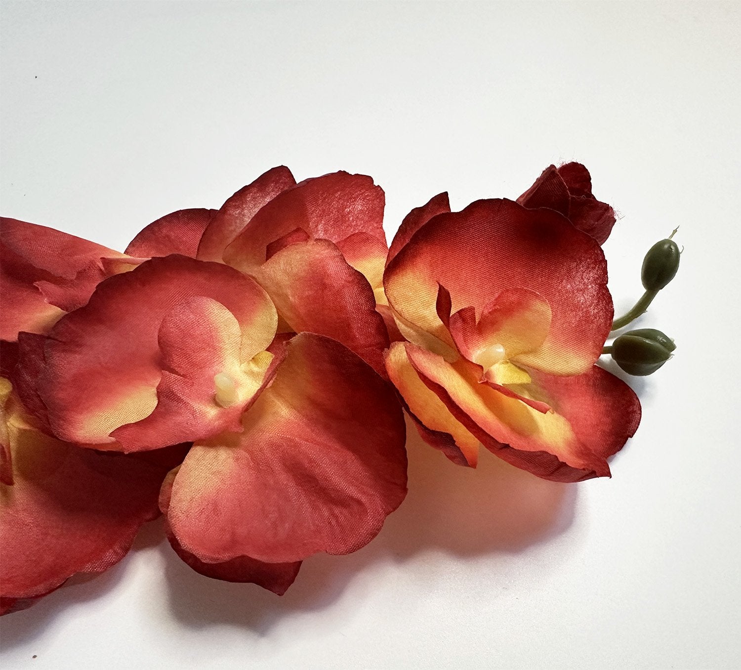 Close-up of red and yellow artificial phalaenopsis orchid flowers with green buds on a white background.