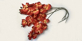 Four artificial phalaenopsis orchid stems with red and yellow flowers on a white background.