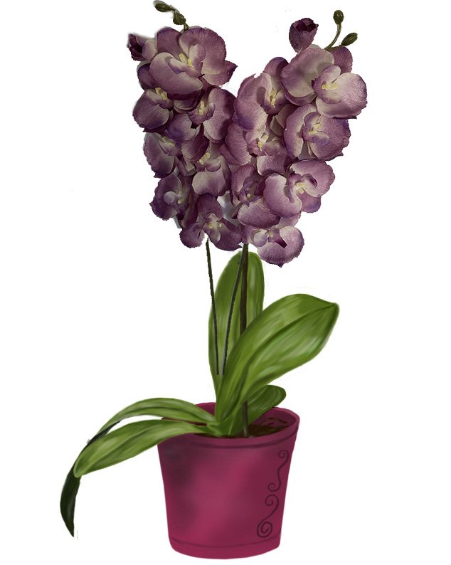 Purple artificial phalaenopsis orchid plant in a pink pot, isolated on white background.
