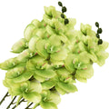 Green artificial phalaenopsis orchid stems with multiple flower heads and buds, isolated on white.