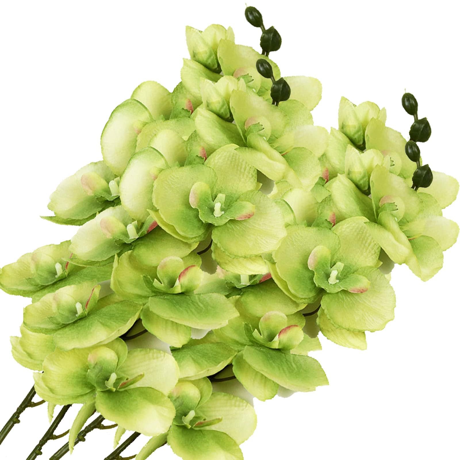 Green artificial phalaenopsis orchid stems with multiple flower heads and buds, isolated on white.