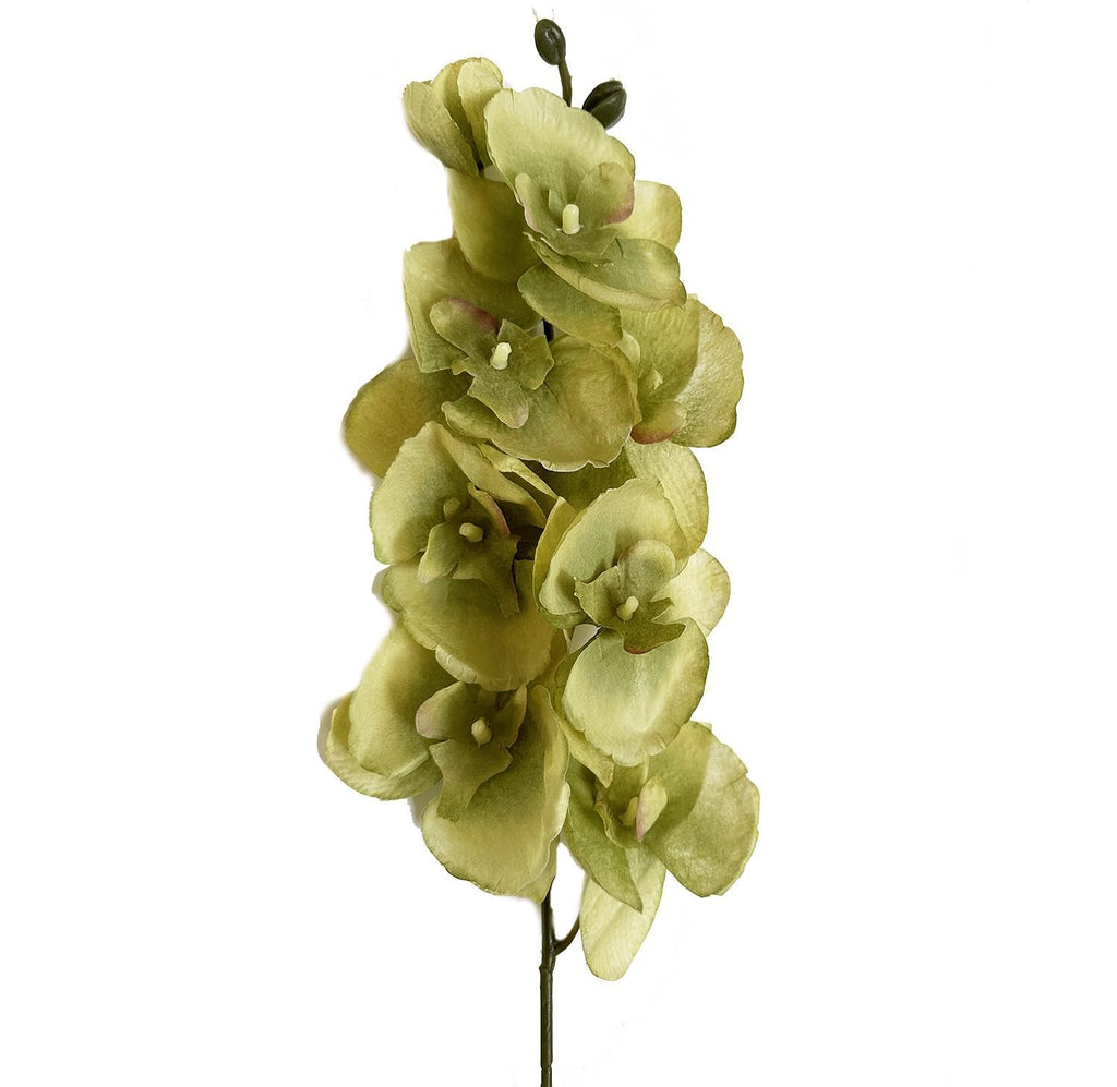 Green artificial phalaenopsis orchid stem with multiple blooms and buds against a white background.