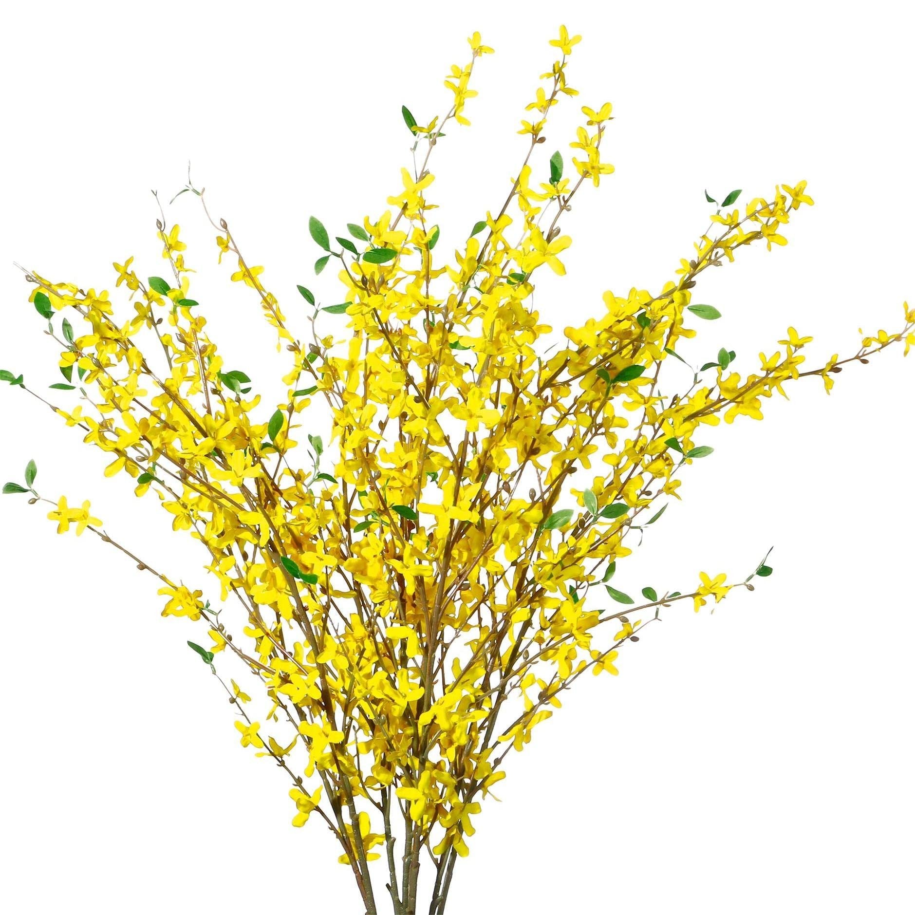 Bunch of artificial yellow forsythia branches with green leaves against a white background