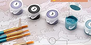 Paint by number kit with numbered paint pots and brushes on a canvas with numbered sections.