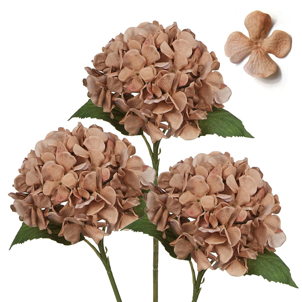 Three tan artificial hydrangea flower stems with green leaves and one loose petal on white background