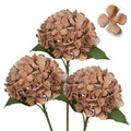 Three tan artificial hydrangea flower stems with green leaves and one loose petal on white background