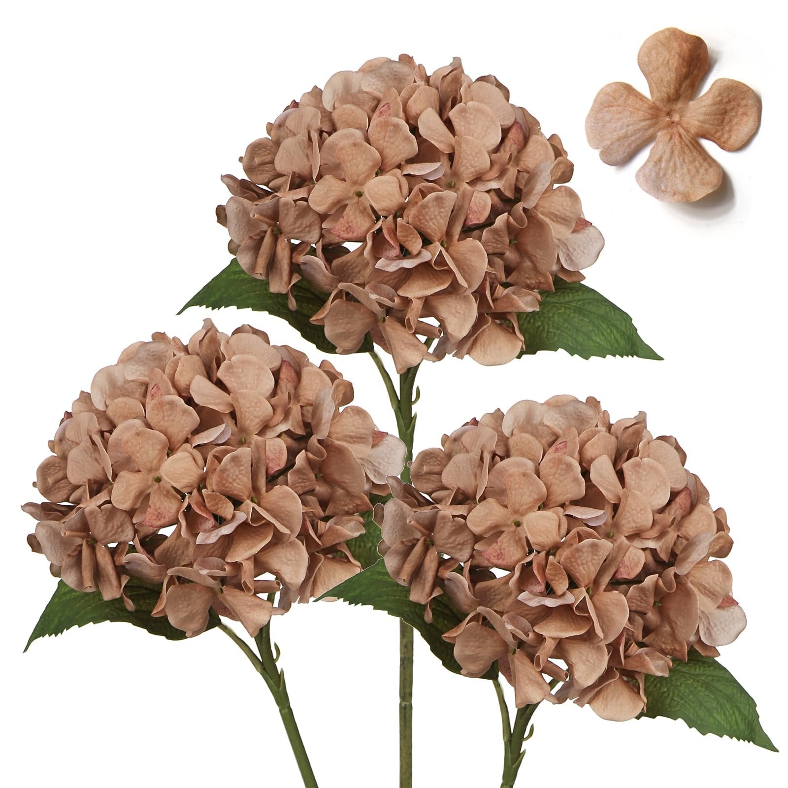 Three tan artificial hydrangea flower stems with green leaves and one loose petal on white background