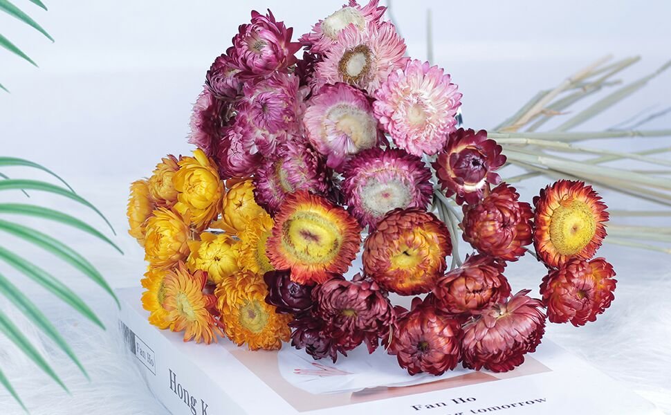 Bouquet of colorful dried daisies with stems on a white surface, with green leaves and dried grass accents.