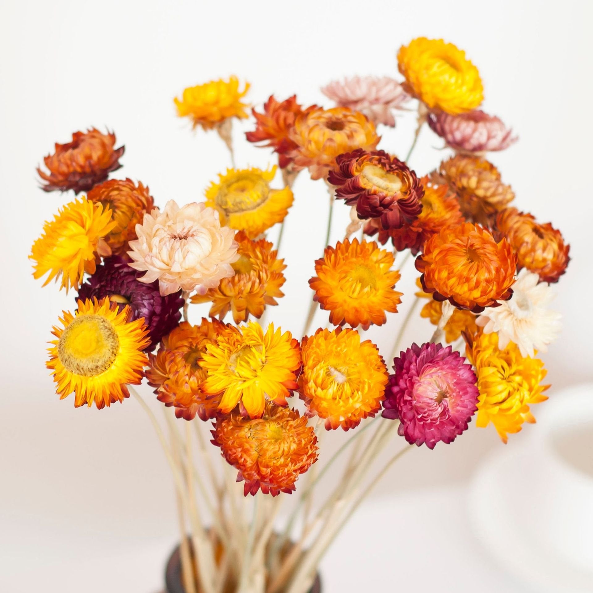 Bouquet of assorted dried daisies in vibrant orange, yellow, and pink hues with visible stems.